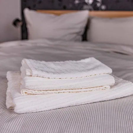 Dominique Apartment Nieder-Saulheim