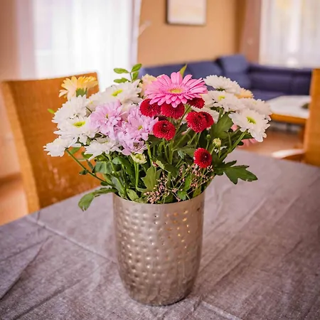 Dominique Apartment *